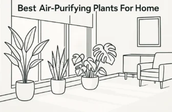 Line drawing of indoor potted plants placed near large windows, with text reading “Best Air-Purifying Plants For Home."