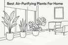 Best Air-Purifying Plants For Your Home