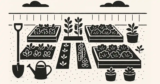 Starting a Vegetable Garden in Your Backyard [5 Simple Steps]