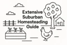 An Extensive Suburban Homesteading Guide